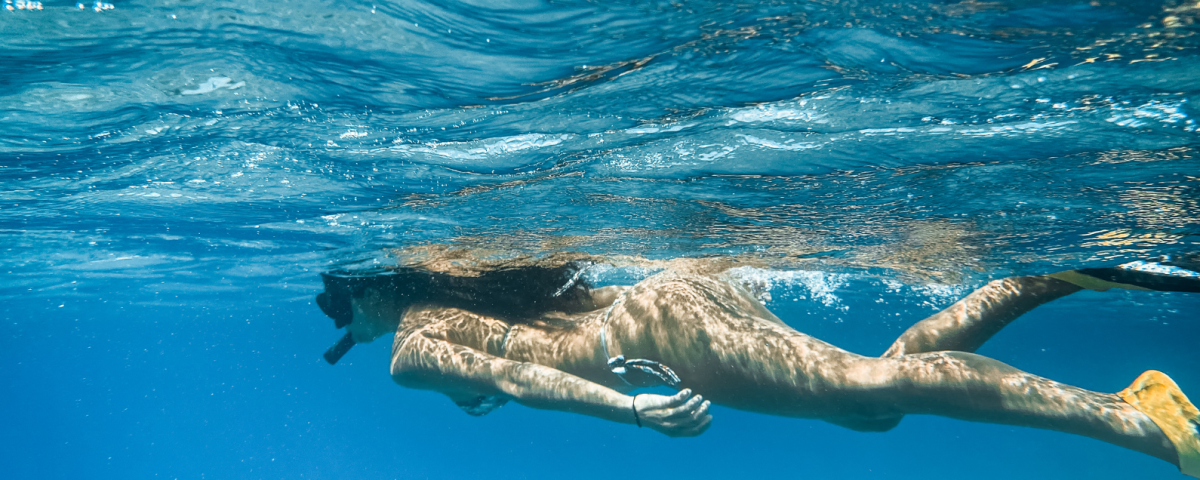 Roatán Snorkeling