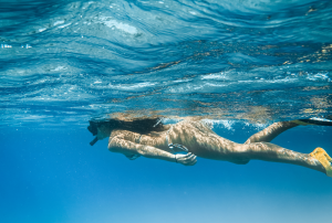 Roatán Snorkeling