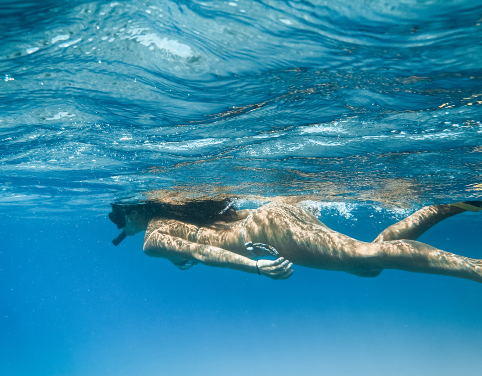 Roatán Snorkeling